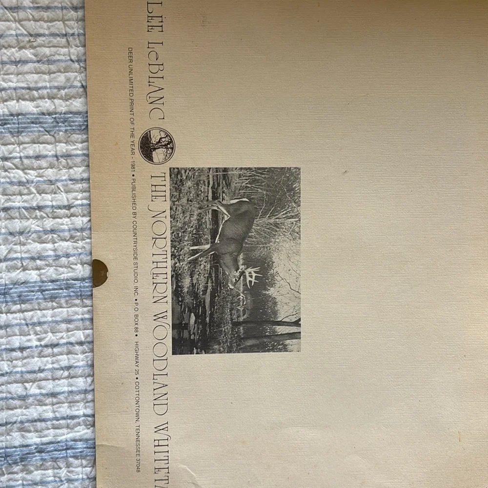 Lee Le Blanc 1981 Northern Woodland Whitetail Stamp, Print, Signed, Numbered - Picture 9 of 12